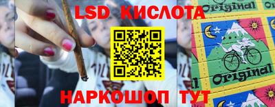 индика Бердск