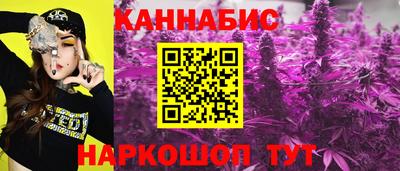 индика Бердск